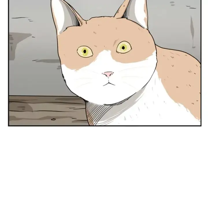 漫画《鲨鱼》47.接近第82张图
