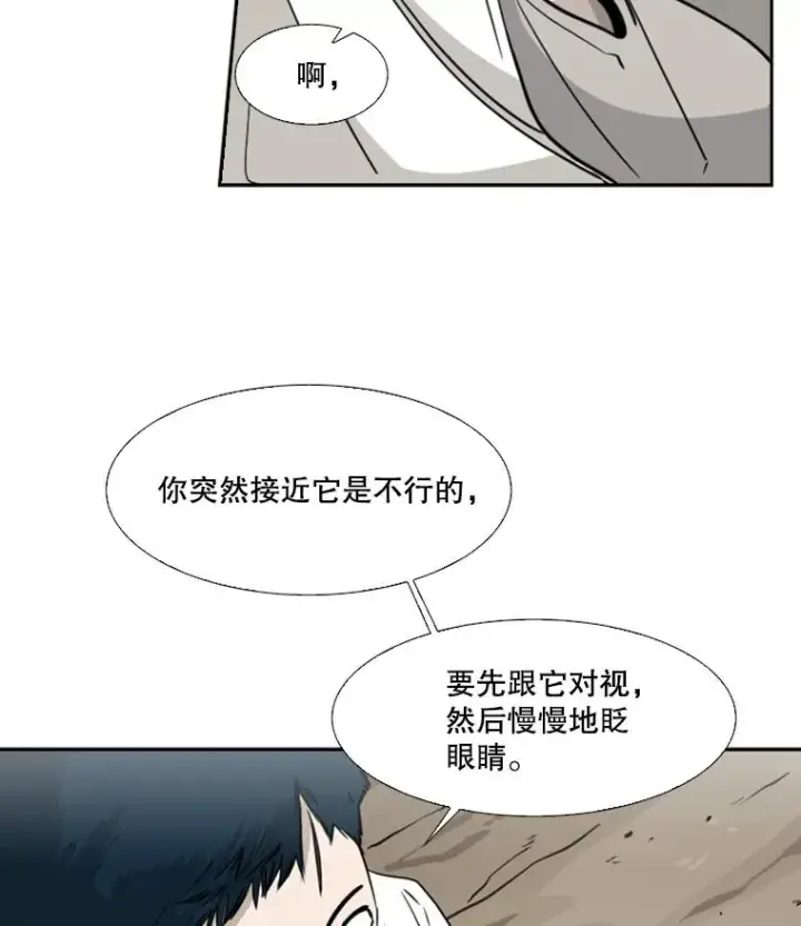 漫画《鲨鱼》47.接近第95张图