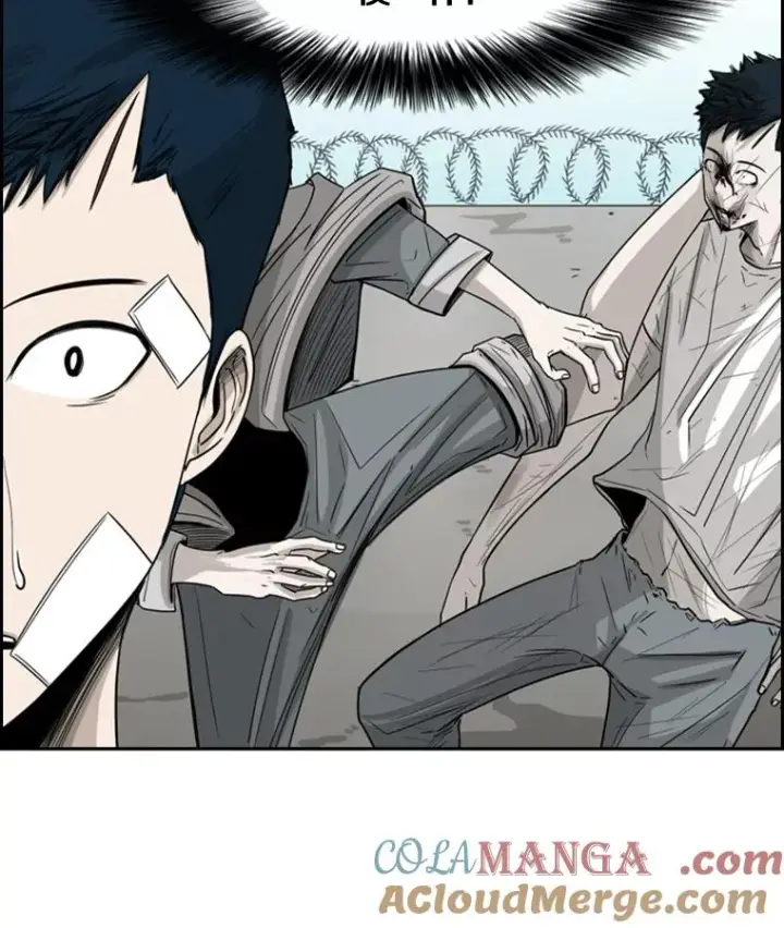 漫画《鲨鱼》48.示范第41张图