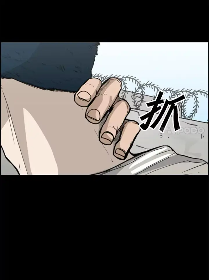 漫画《鲨鱼》50.不相上下第16张图