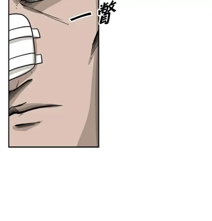 漫画《鲨鱼》51.不死鸟第18张图