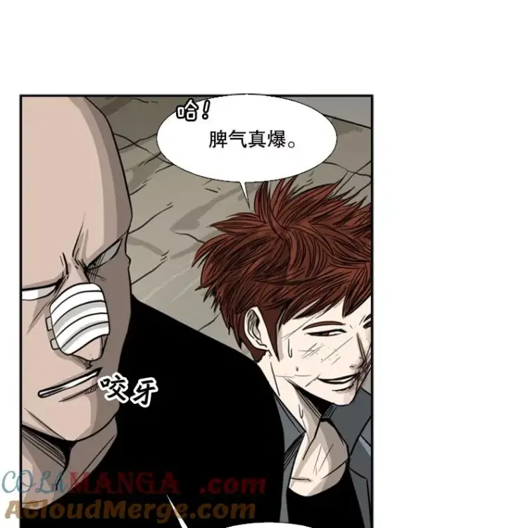 漫画《鲨鱼》51.不死鸟第41张图