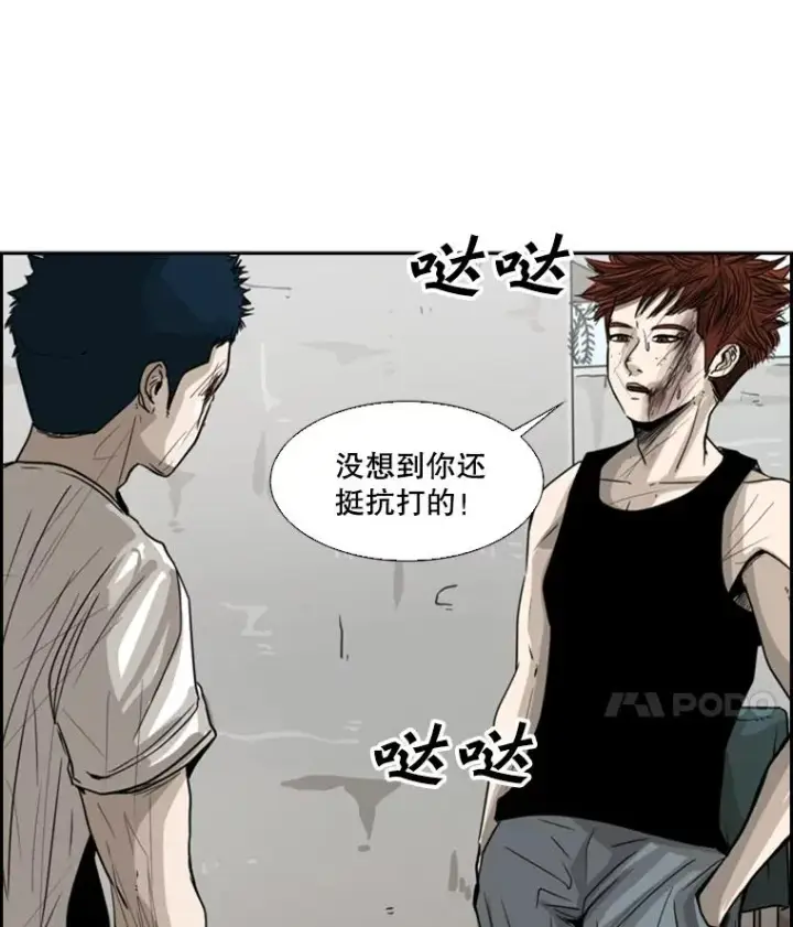 漫画《鲨鱼》51.不死鸟第52张图