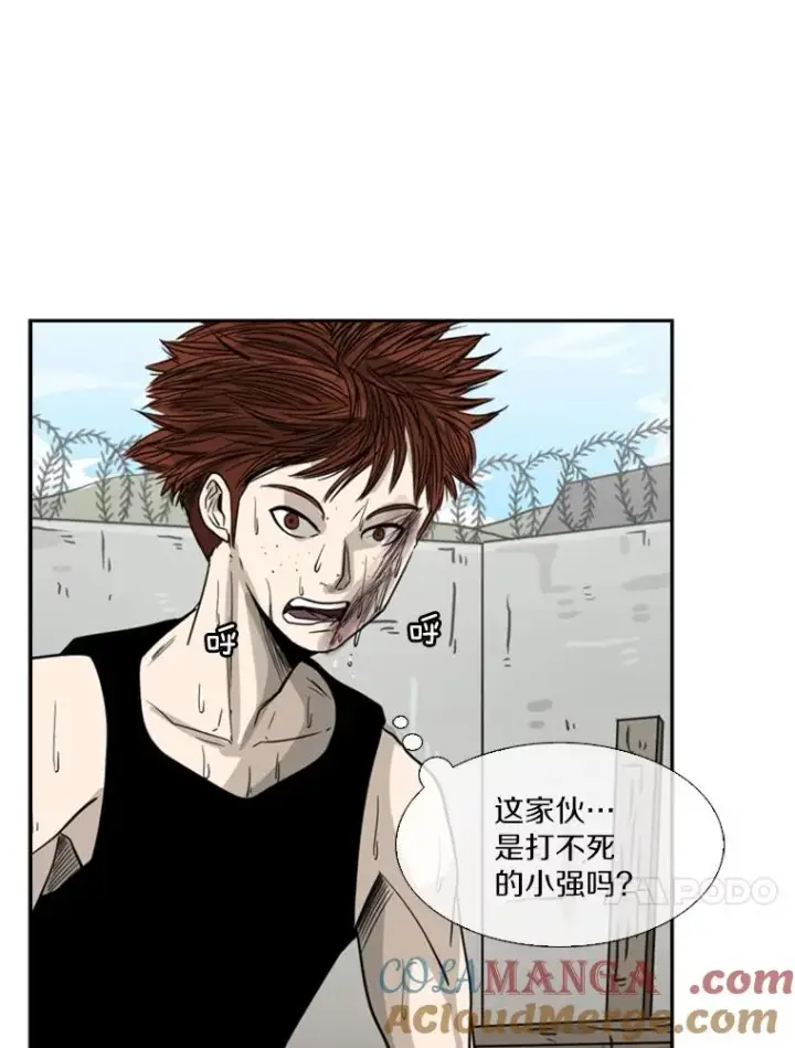 漫画《鲨鱼》51.不死鸟第97张图