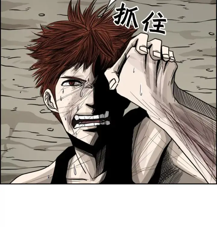 漫画《鲨鱼》52.战斗结束第22张图