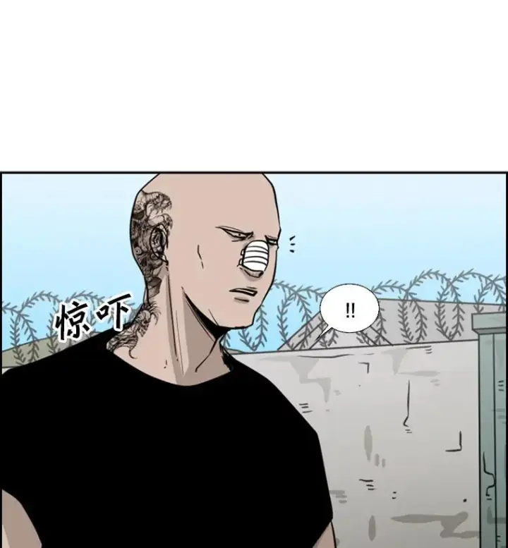 漫画《鲨鱼》52.战斗结束第59张图