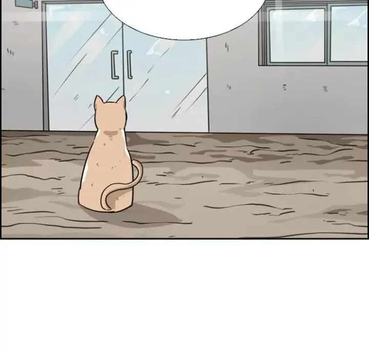 漫画《鲨鱼》55.和平协议第19张图