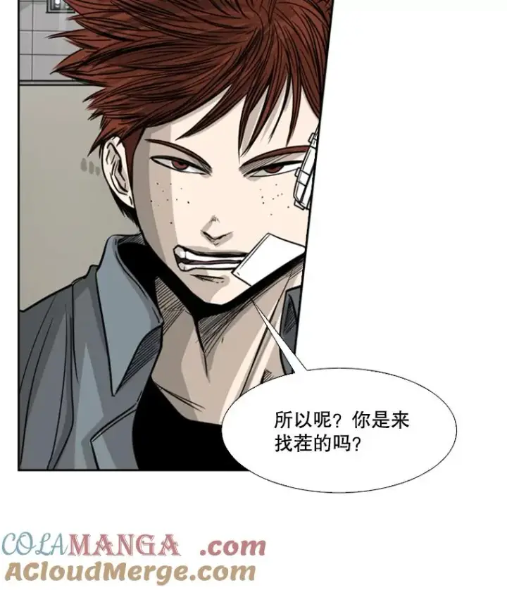 漫画《鲨鱼》55.和平协议第65张图