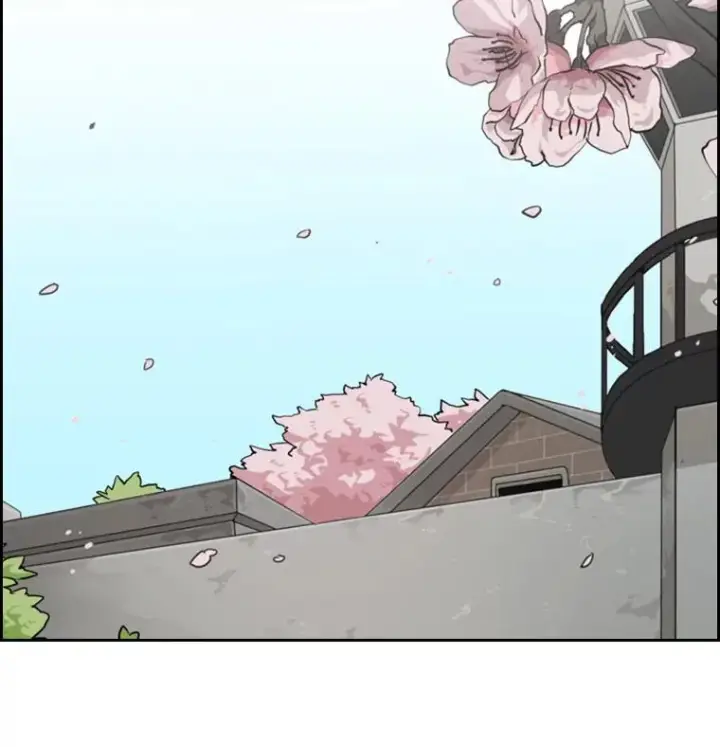 漫画《鲨鱼》57.我们还能再见吗第100张图