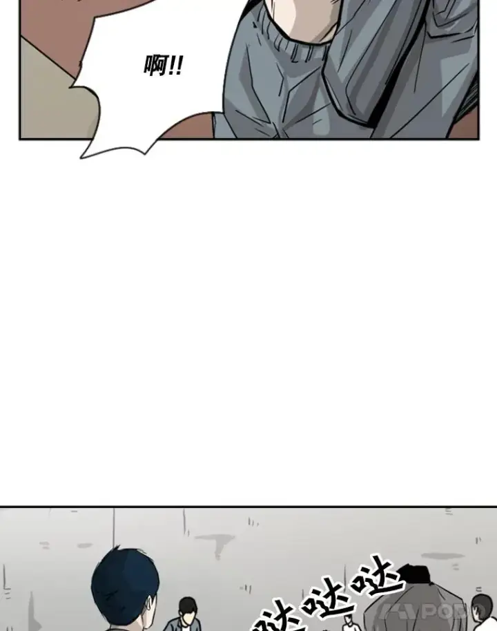 漫画《鲨鱼》58.确认第55张图