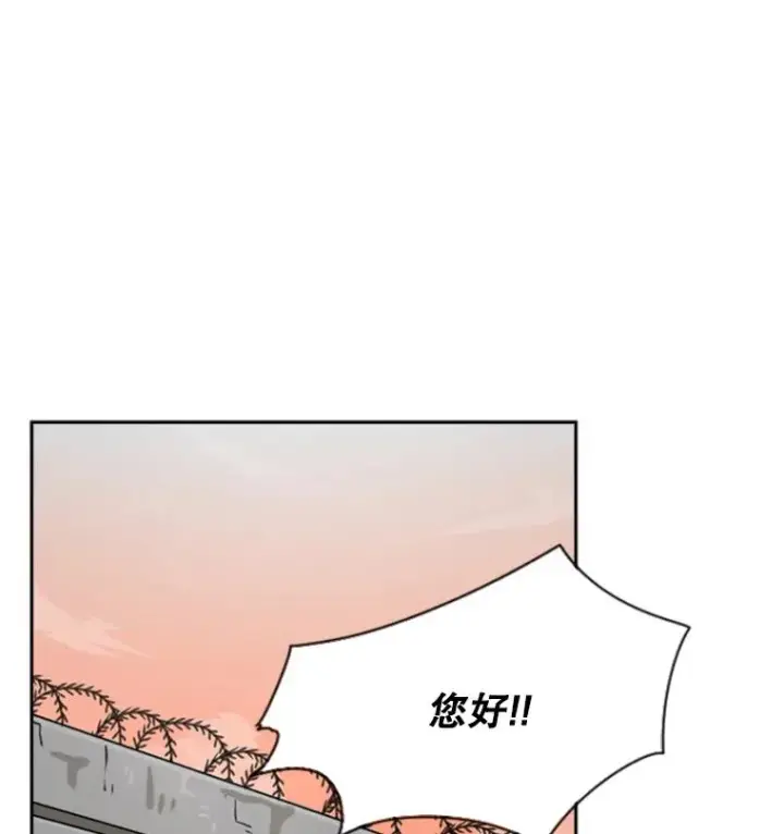 漫画《鲨鱼》58.确认第80张图
