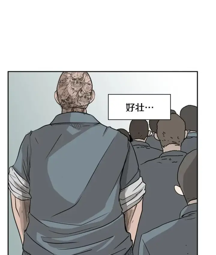 漫画《鲨鱼》5.正式开始第42张图