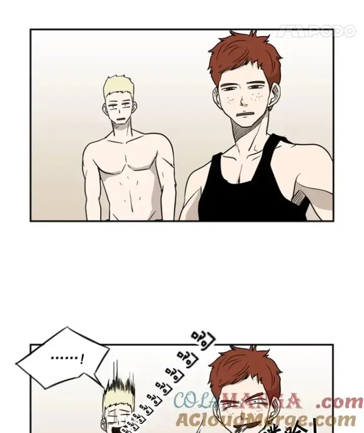 漫画《鲨鱼》6.冲突第93张图