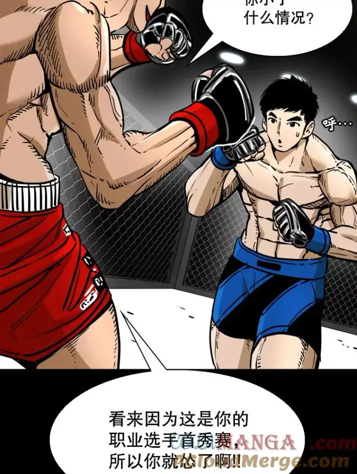 漫画《鲨鱼》294.意料之外的局势第81张图