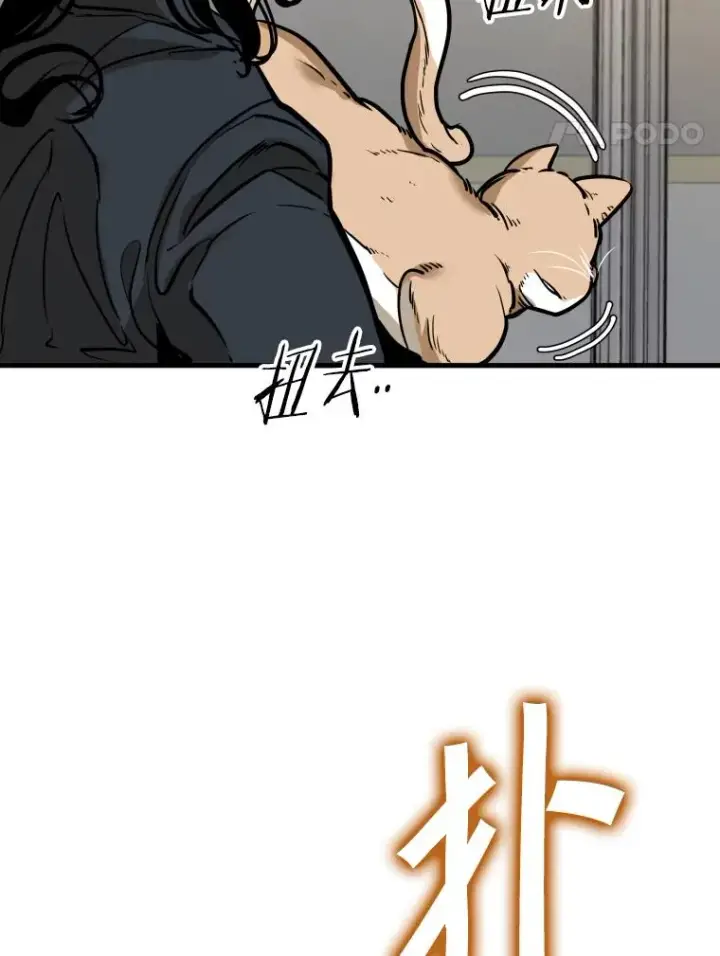 漫画《鲨鱼》301.妍迪来访第12张图