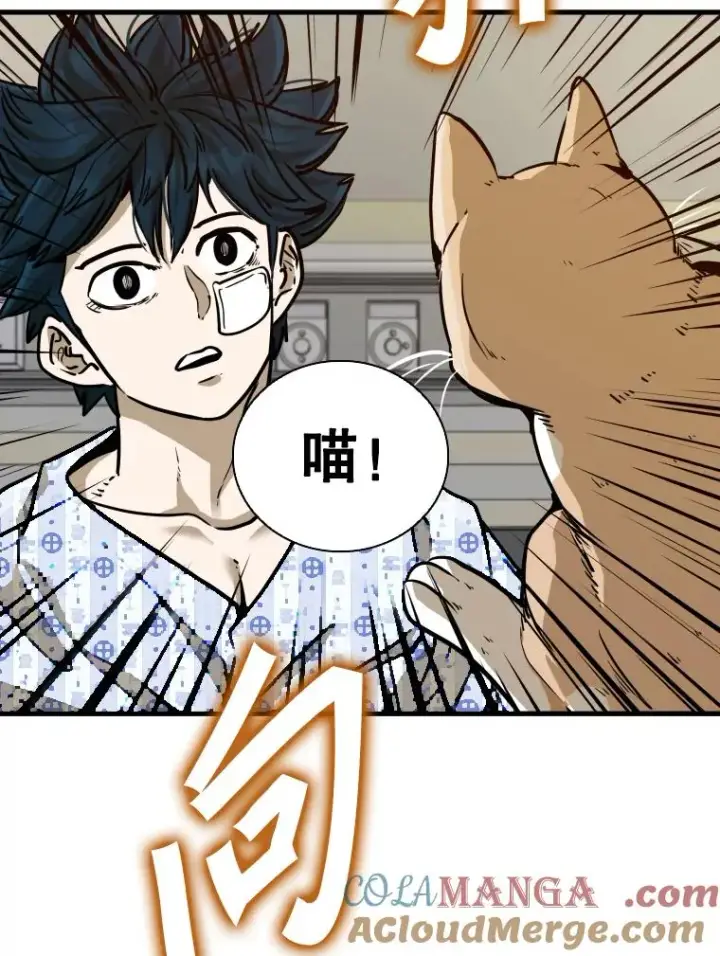漫画《鲨鱼》301.妍迪来访第13张图