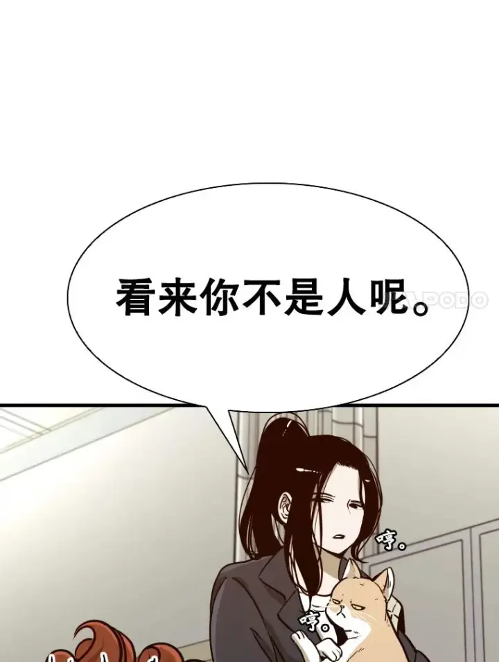 漫画《鲨鱼》301.妍迪来访第31张图