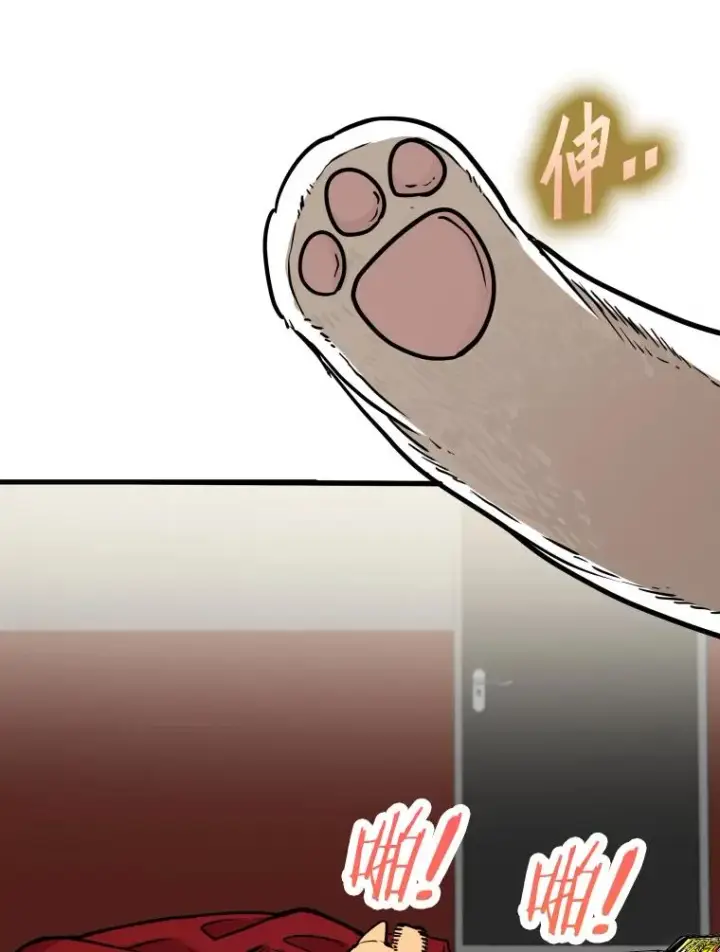 漫画《鲨鱼》307.妍迪的一分钟KO第16张图