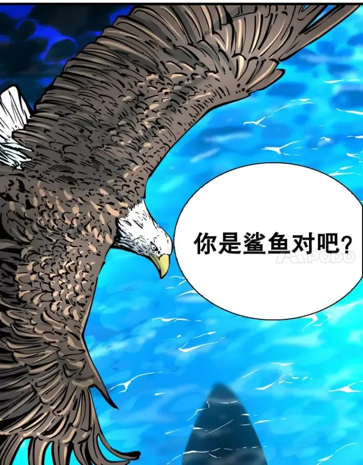 漫画《鲨鱼》325.错误教导第78张图