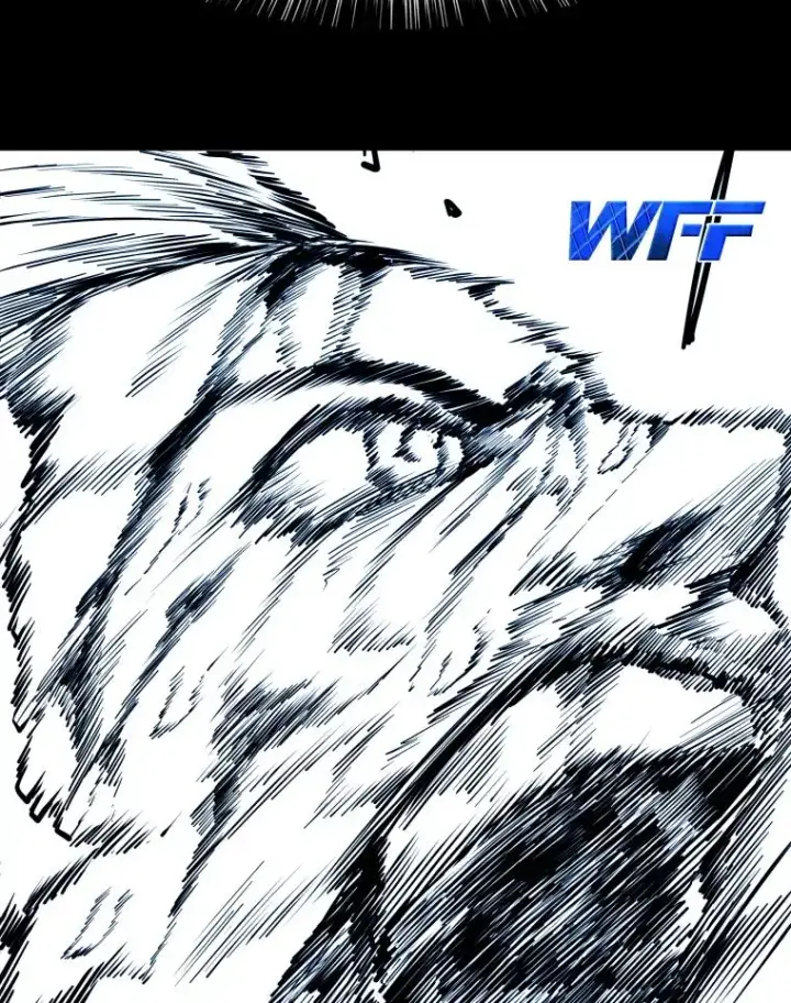 漫画《鲨鱼》326.安排赛程第131张图