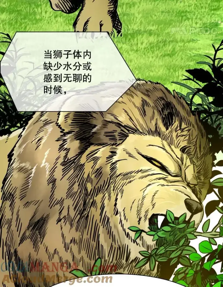 漫画《鲨鱼》331.寻找合适人选第41张图
