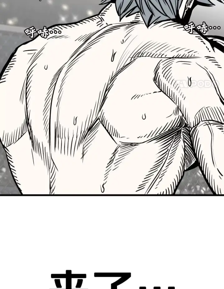 漫画《鲨鱼》341.突袭失败第4张图
