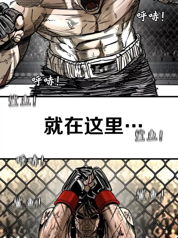 漫画《鲨鱼》343.坚定执行计划第128张图