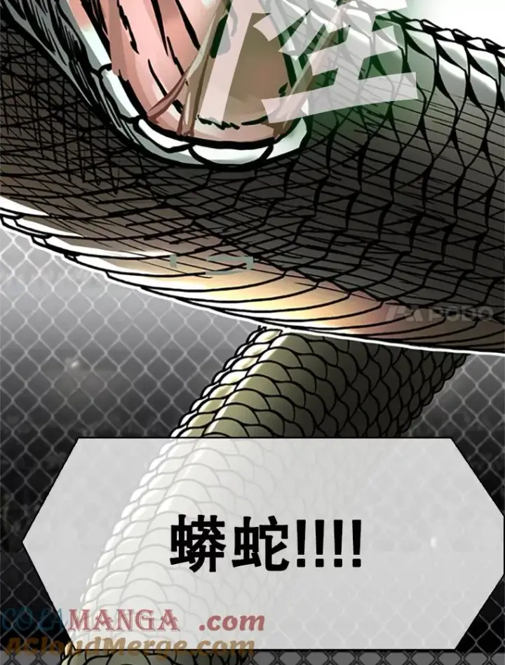 漫画《鲨鱼》346.TKO胜利第117张图