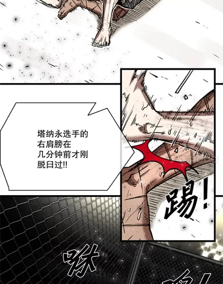 漫画《鲨鱼》346.TKO胜利第15张图