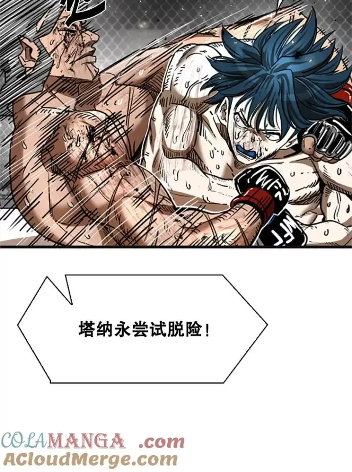 漫画《鲨鱼》346.TKO胜利第33张图