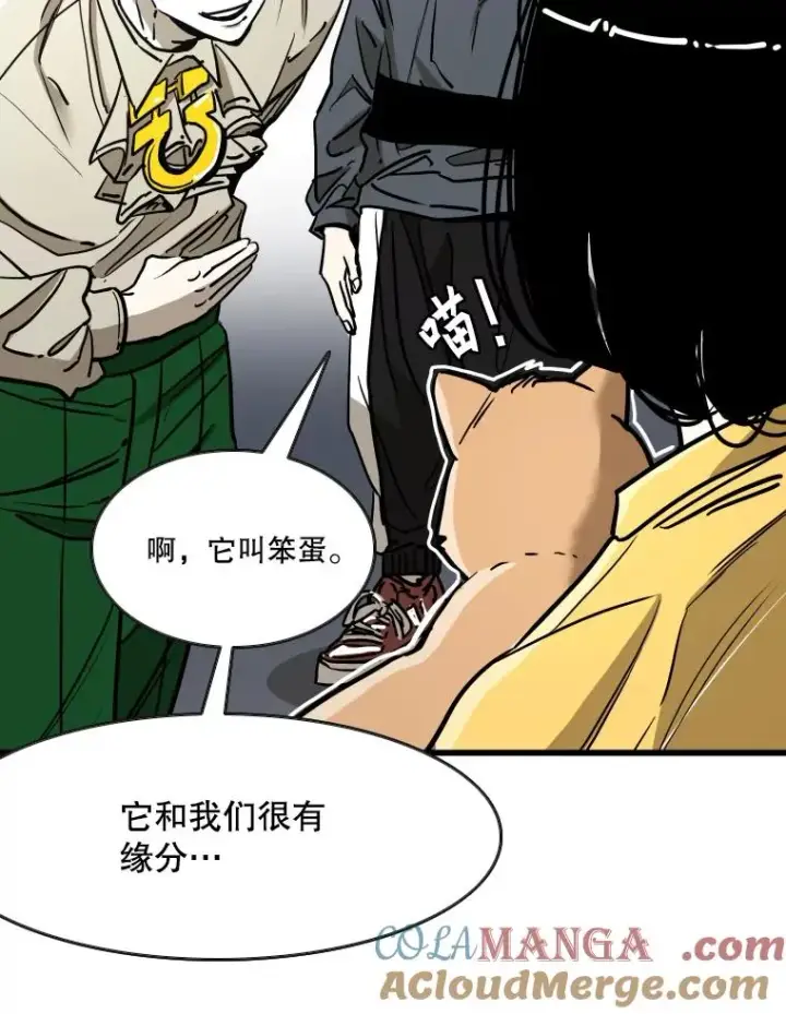 漫画《鲨鱼》353.五号乐园第97张图