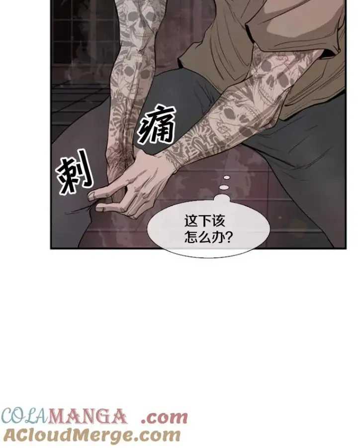 漫画《鲨鱼》97.突破极限第77张图