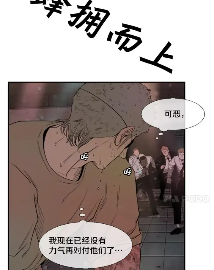 漫画《鲨鱼》98.分出胜负第82张图