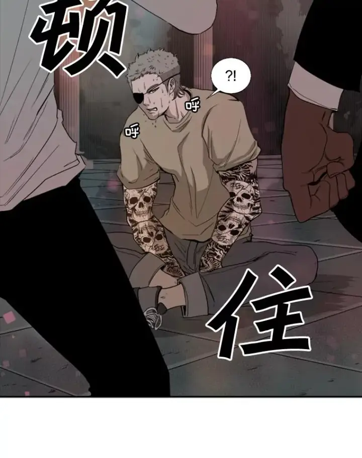 漫画《鲨鱼》98.分出胜负第84张图