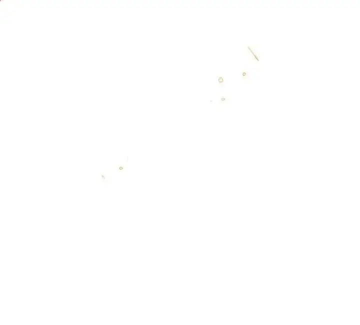 漫画《身为恶役女配的我养成病娇女主很正常吧？！》014 命运却要你们自相残杀第38张图