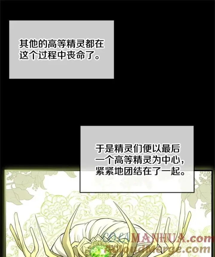 漫画《史诗级枪骑士再临》29.精灵的眼泪第17张图