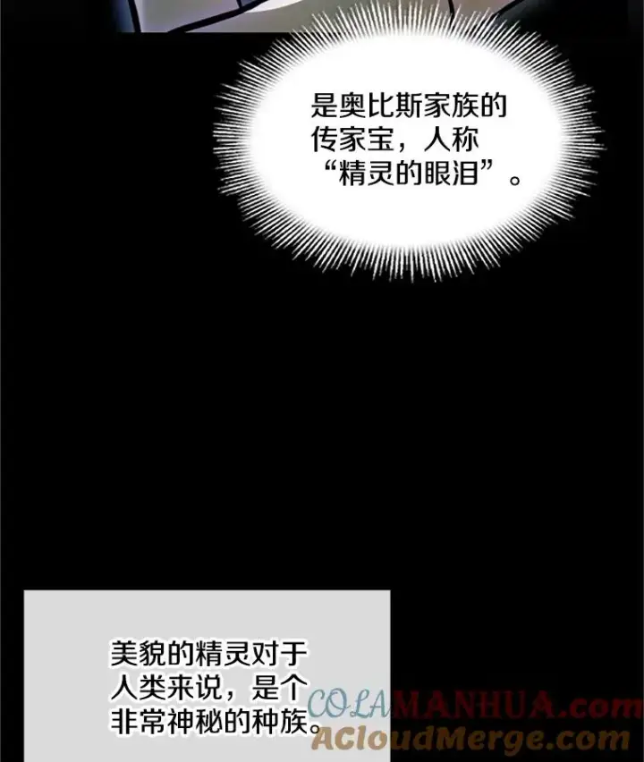 漫画《史诗级枪骑士再临》29.精灵的眼泪第9张图