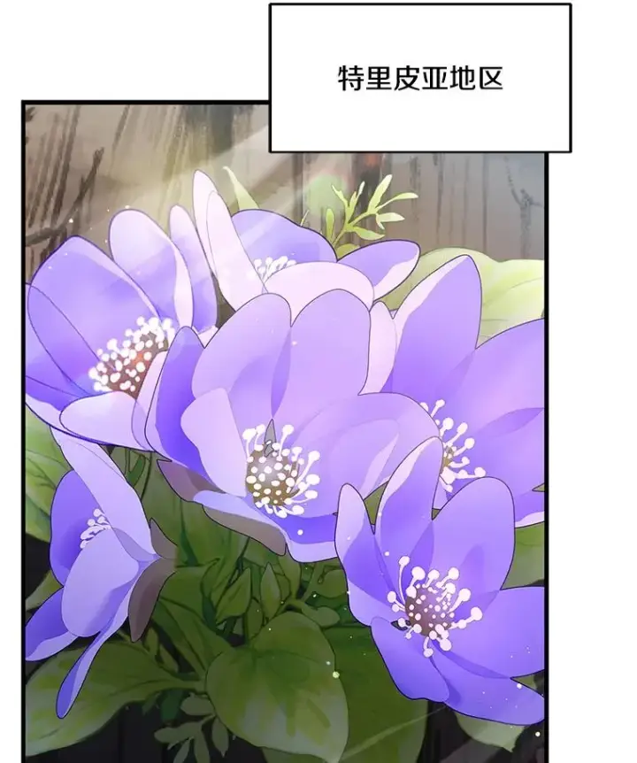 漫画《史诗级枪骑士再临》93.森德斯花第142张图
