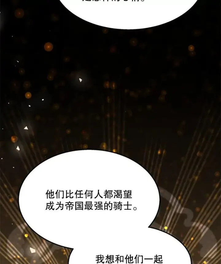 漫画《史诗级枪骑士再临》97.独立骑士团第79张图