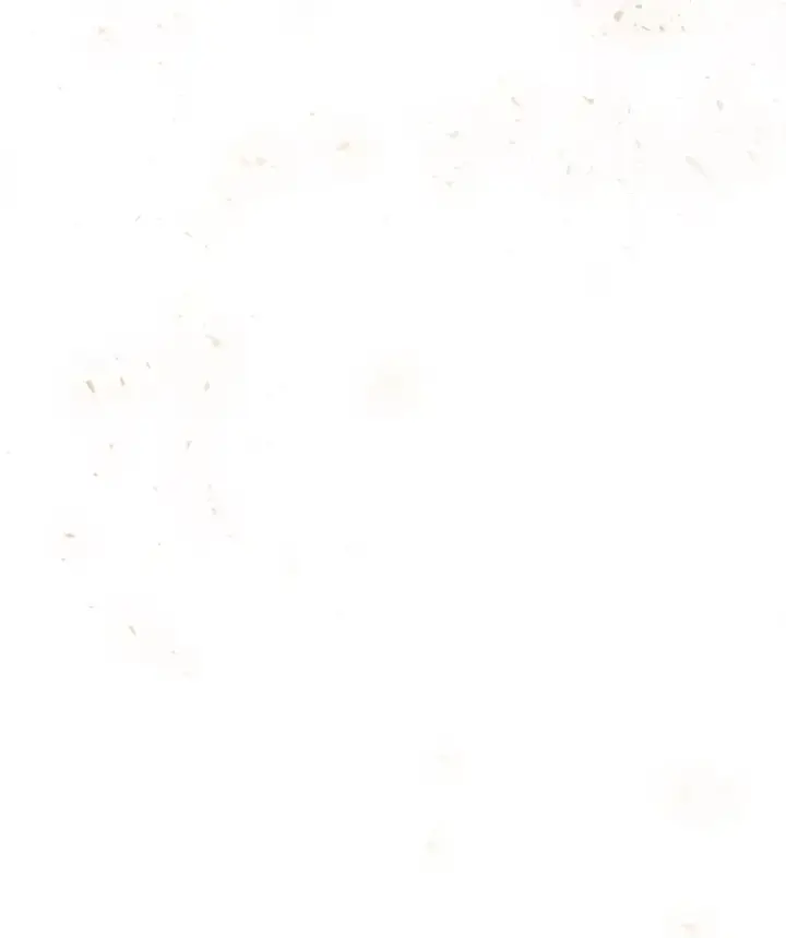 漫画《史诗级枪骑士再临》97.独立骑士团第82张图