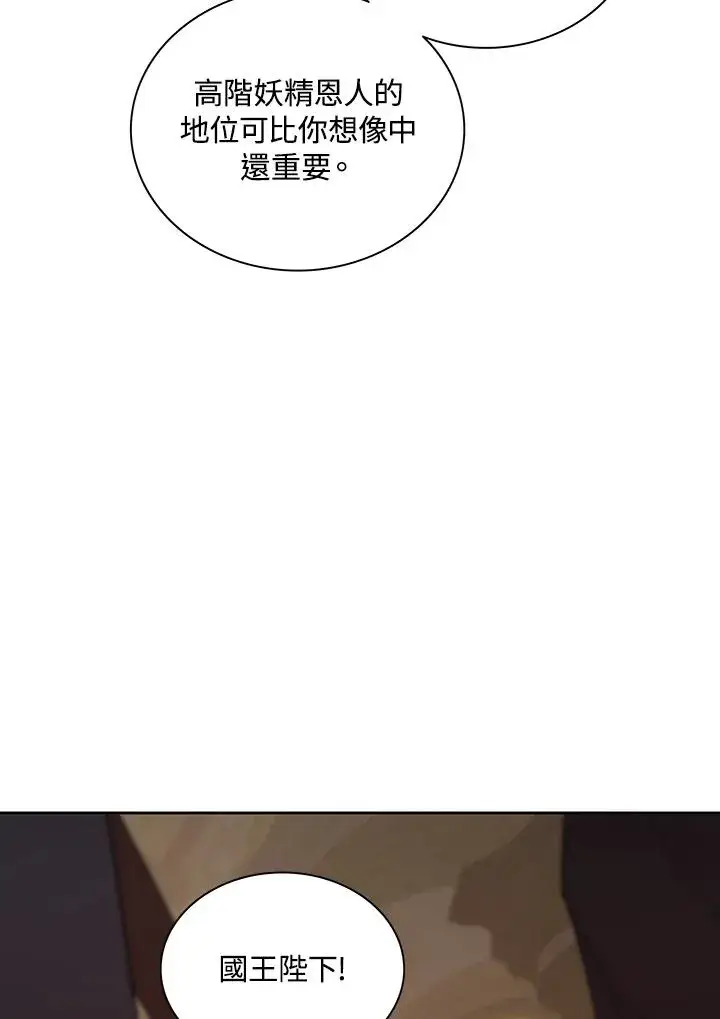 漫画《噬书魔法师》第66话第74张图