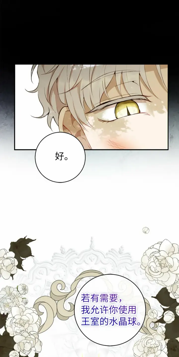 漫画《狮子公爵家的松鼠千金》3 世上没有白来的好意第11张图
