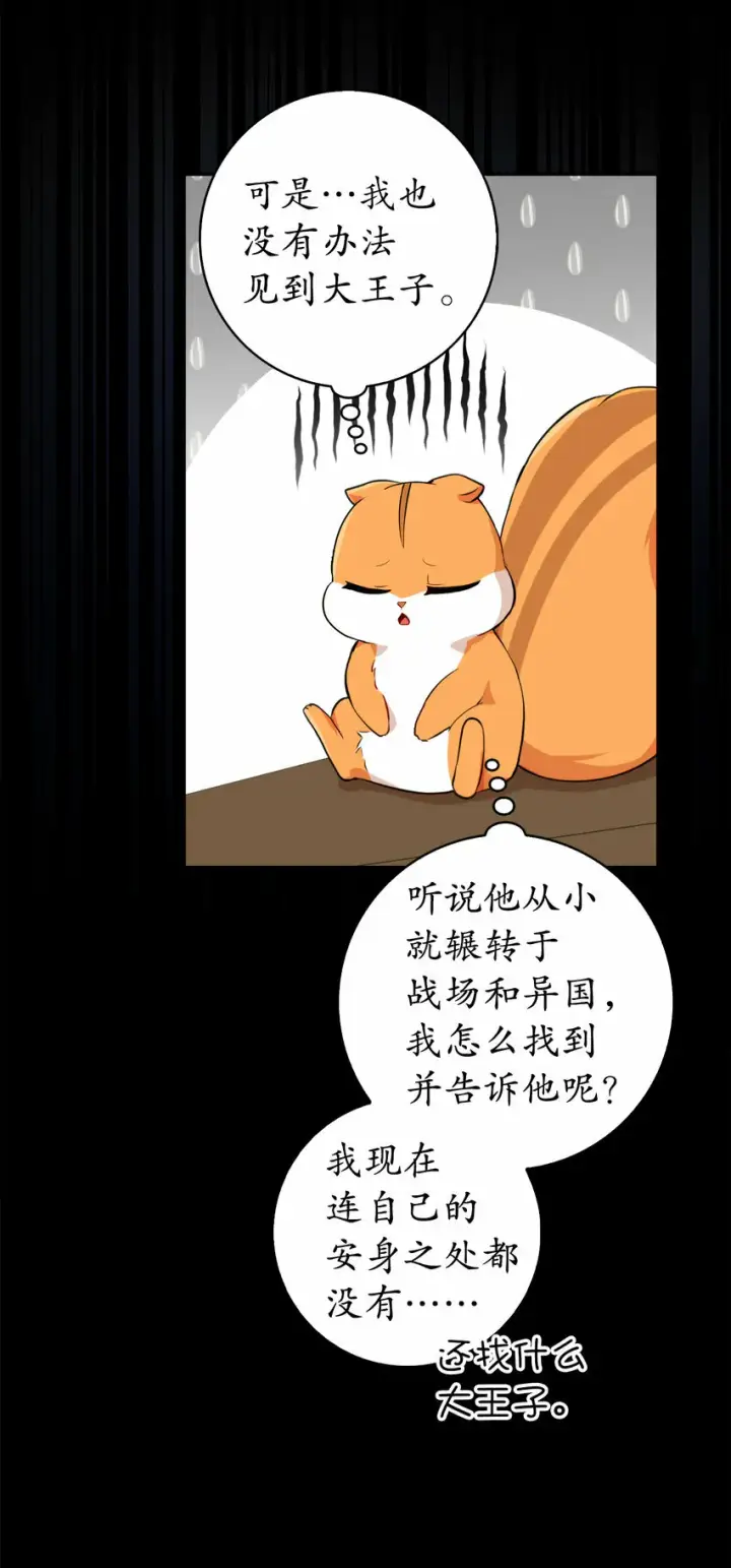 漫画《狮子公爵家的松鼠千金》3 世上没有白来的好意第22张图