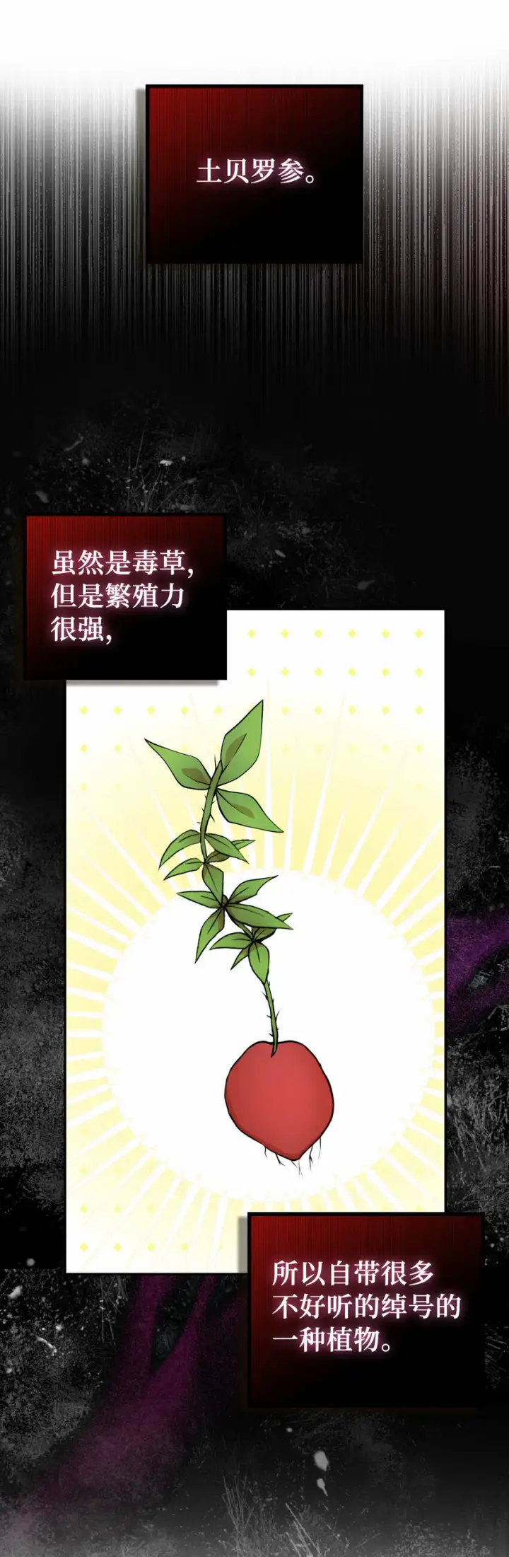 漫画《狮子公爵家的松鼠千金》8 奇迹植物第43张图