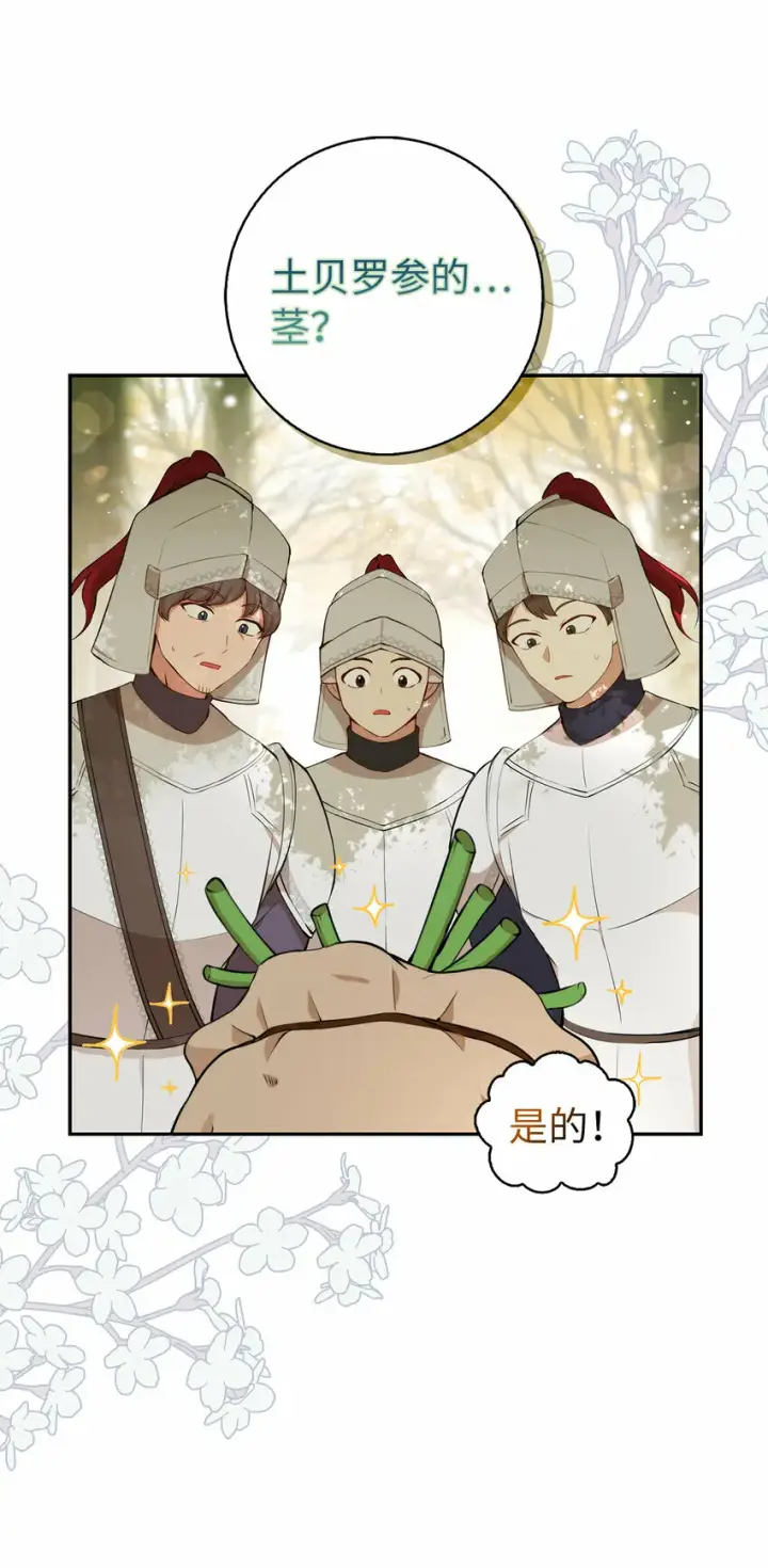 漫画《狮子公爵家的松鼠千金》9 小松鼠的锦囊妙计第14张图