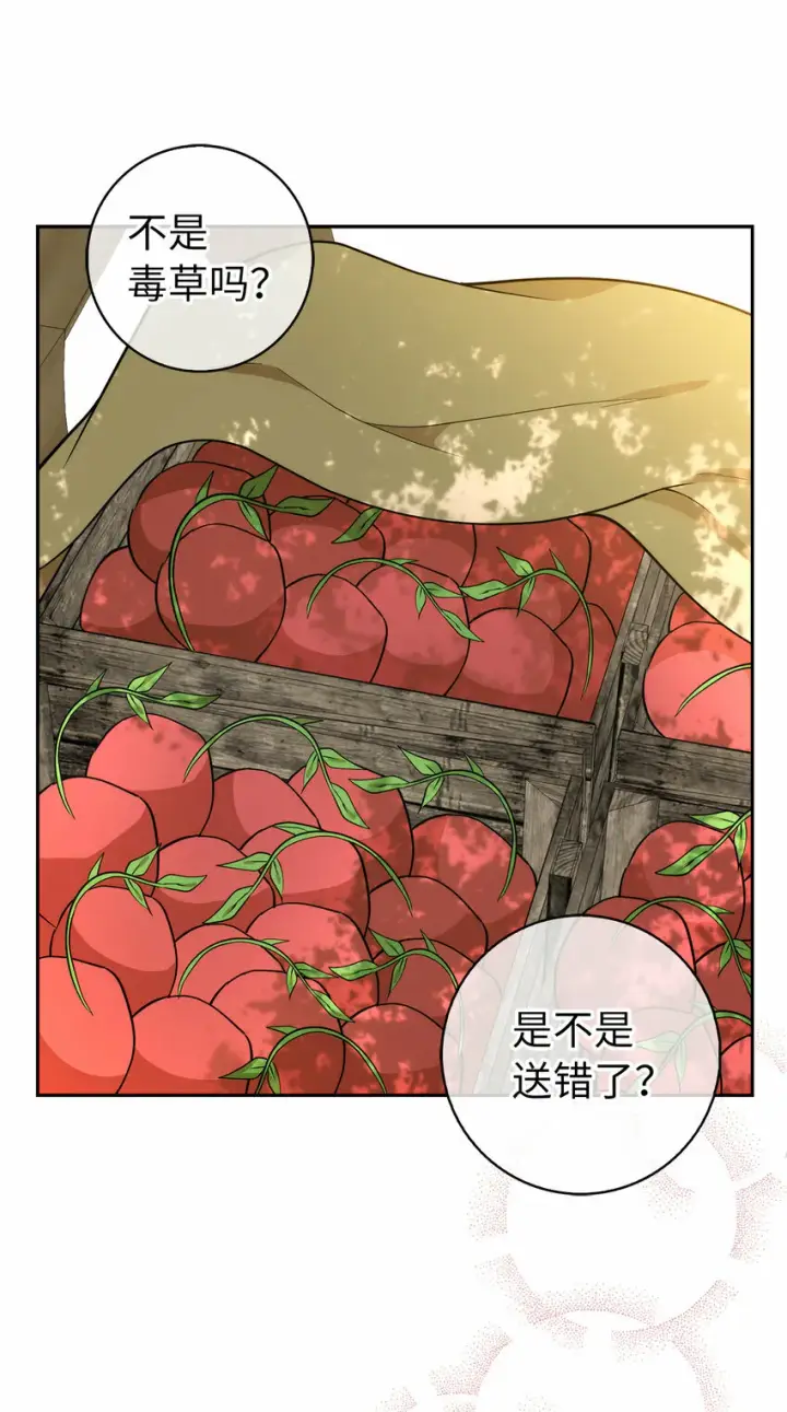 漫画《狮子公爵家的松鼠千金》9 小松鼠的锦囊妙计第45张图