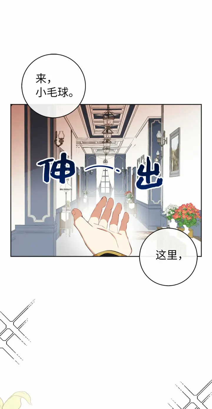 漫画《狮子公爵家的松鼠千金》10 难道他是在考验我第37张图
