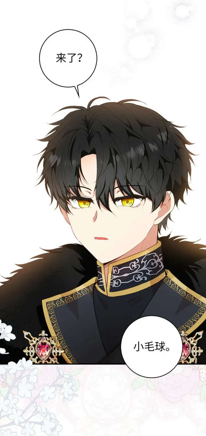 漫画《狮子公爵家的松鼠千金》11 奇怪的哥哥第29张图
