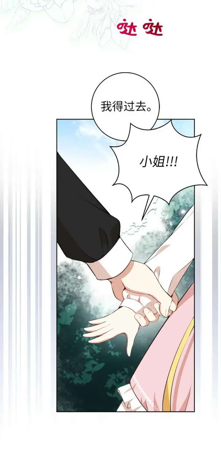 漫画《狮子公爵家的松鼠千金》12 小姐被魔兽抓走了？第63张图