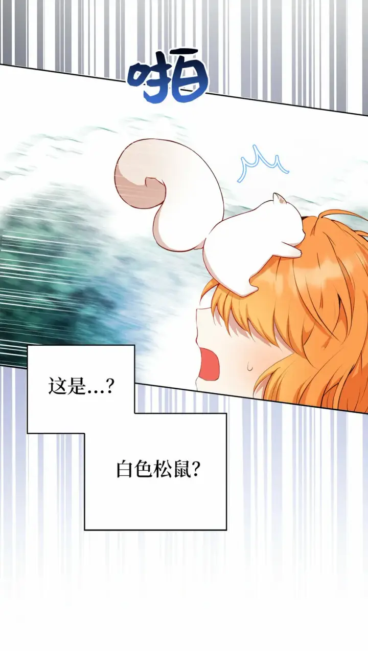漫画《狮子公爵家的松鼠千金》12 小姐被魔兽抓走了？第70张图